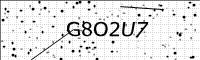 captcha-image