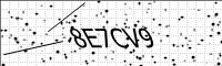 captcha-image