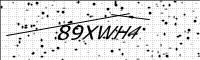 captcha-image