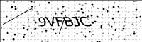 captcha-image