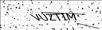 captcha-image