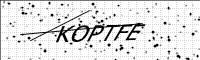 captcha-image