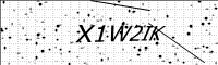 captcha-image