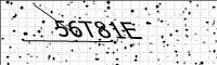 captcha-image