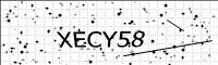 captcha-image