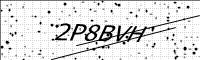captcha-image