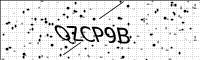 captcha-image